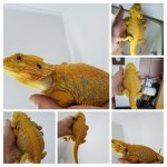 20190419_191225-COLLAGE.jpg