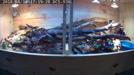 snapshot-53.jpg