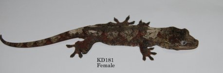 DSC_0365.jpg