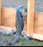 20190414_103556.jpg