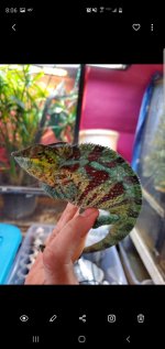Screenshot_20190512-080602_Gallery.jpg