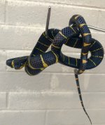 6A6FB2CC-FAA4-4F28-AB67-AF4E44A6C7A6.jpg