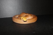 IMG_9963.jpg
