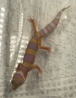 IMG_E0745.jpg