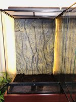 AEBE6004-0684-48D9-A163-E58F867FE416.jpg