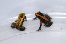 IMG_7830.jpg