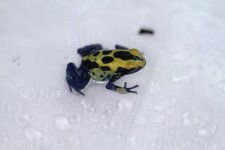 IMG_7799.jpg