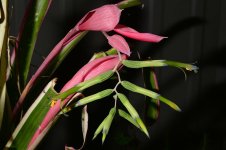 test_02.jpg