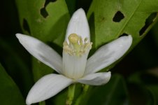 test_03.jpg