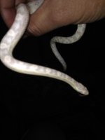 4AF3FF29-8B3F-400D-9170-B7938649AAE0.jpg