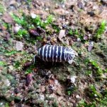 20190710_193256.jpg