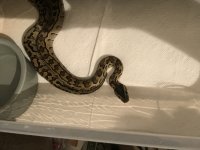 876D1000-0F1B-4B73-8EF5-5E4F9BA368AB.jpg