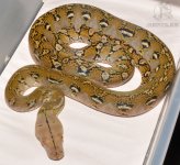 DSC_6176.jpg