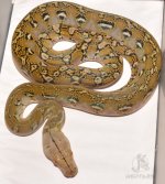 DSC_6177.jpg
