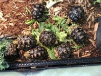 thumbnail_IMG_3058.jpg