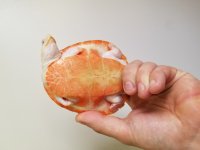 20190507_100029.jpg