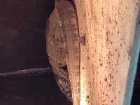 20190609_140956.jpg