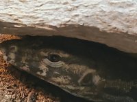 20190427_160818.jpg