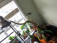 MVIMG_20190910_123746.jpg