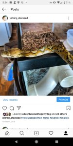 Screenshot_20190822-172419.jpg