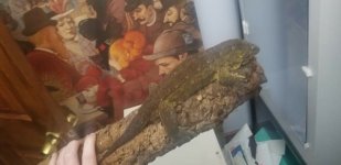 ABF06E0D-A044-4578-B7E4-CEA783890CCE.jpeg