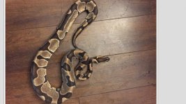 989B1DA2-A7DB-4625-A495-09BD4DEC4BC5.jpg