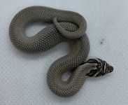 554C7FD0-1605-468A-8219-8CB5F5E6D1A5.jpg