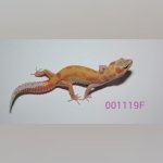 inCollage_20190807_080201233.jpg