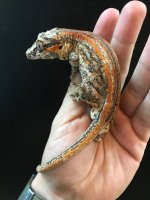 gargoyle333.jpg