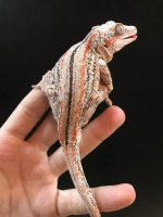 gargoyle99.jpg