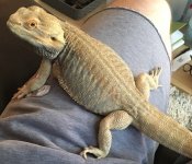 Big Bubba leg.jpg