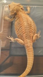 mello  bath 2.jpg