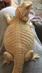 mello leg.jpg