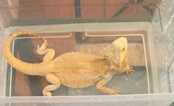 mello bath.jpg