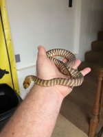 IMG_3815.jpg