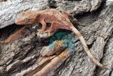 WaterMark_2019-09-17-14-31-03.jpg
