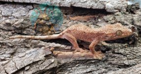 WaterMark_2019-09-17-14-30-40.jpg