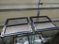 DSC00170.jpg