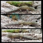 WaterMark_2019-09-17-14-13-28.jpg