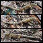 WaterMark_2019-09-17-14-16-11.jpg