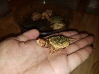 20190829_130456.jpg