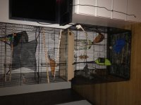 IMG-5338.jpg