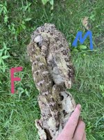 unnamed-5.jpg