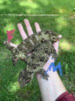 unnamed-3.jpg
