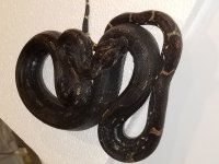 20181102_110157.jpg