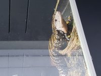 20190828_154448.jpg