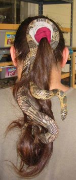 pandorahair.jpg