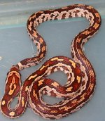 092204aztec.jpg