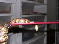 dscn0166 (medium).jpg