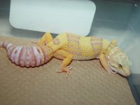DSC07412.JPG